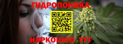 сатива Кимры