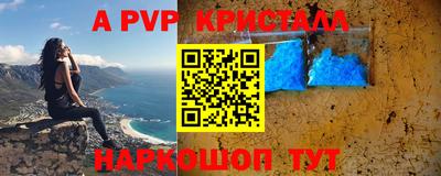jwh Кингисепп