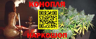 jwh Кингисепп