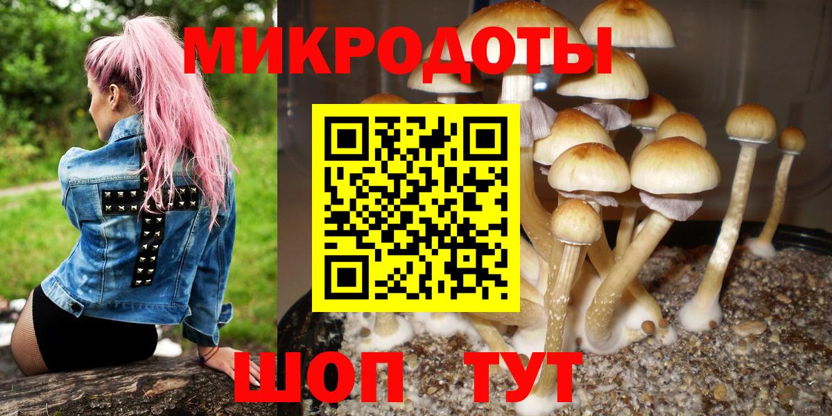 Галлюциногенные грибы Psilocybe  Галлюциногенные грибы мухоморы  Кириши  Вход с VPN 
