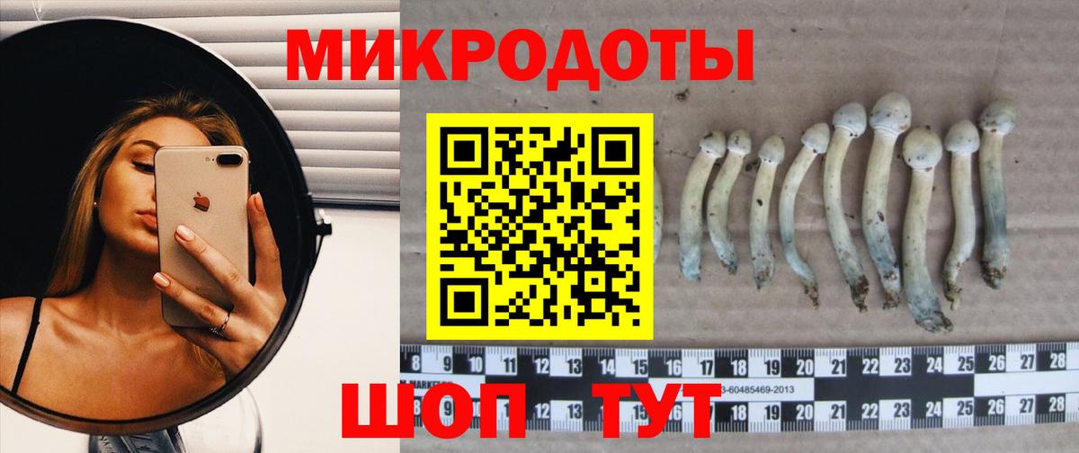 Псилоцибиновые грибы Cubensis Кириши