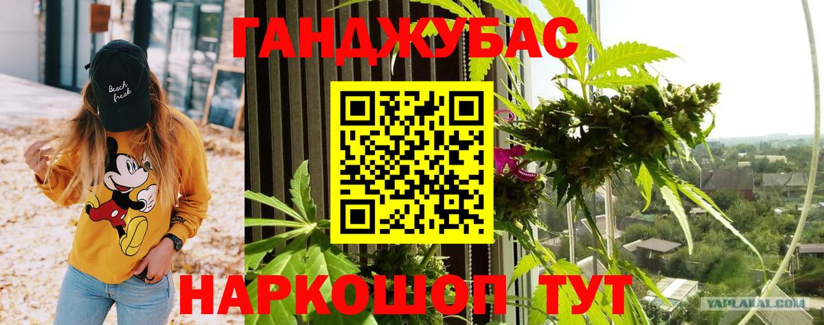 Бошки марихуана индика  Бошки марихуана гибрид  Кириши  Вход с VPN  Конопля семена  Конопля ГИДРОПОН 
